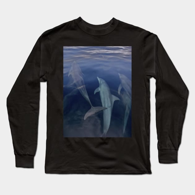 BRUNEI BAY DOLPHINS Long Sleeve T-Shirt by dumbodancer